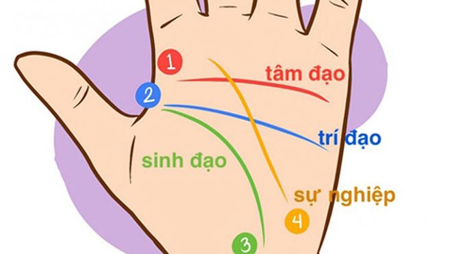 Xem đường chỉ tay vận mệnh biết ngay đường công danh, tình duyên, số phận ra sao