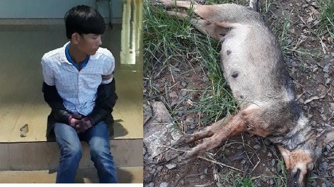 Lời kể của vợ chồng rình cả đêm tóm gọn kẻ dùng thuốc độc giết chó rồi đột nhập bắt cóc trẻ em