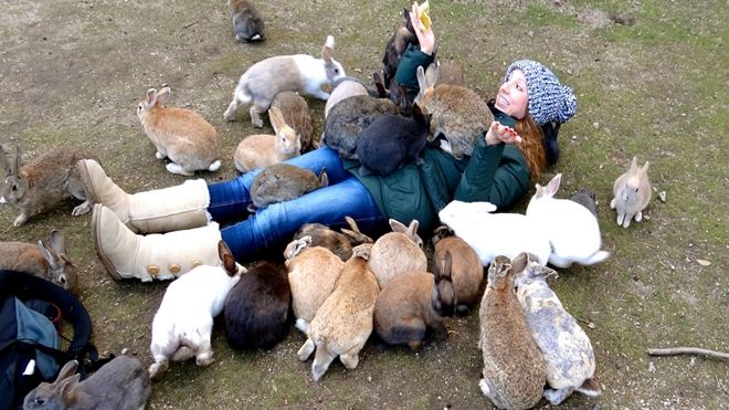 Việt Nam có đảo khỉ Cần Giờ, Nhật Bản có đảo thỏ Okunoshima