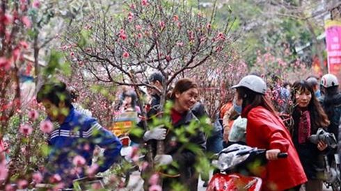 Chuyên gia thời tiết: Miền Bắc mưa rét đến Tết Nguyên đán