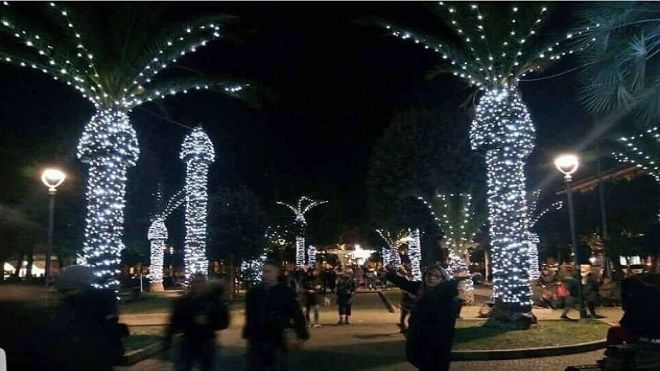 Cây trang trí Giáng sinh giống 'của quý' gây sốt ở Italia