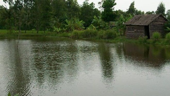 Hoảng hốt phát hiện cô gái trẻ lấy dây thừng quấn quanh người tự tử dưới ao