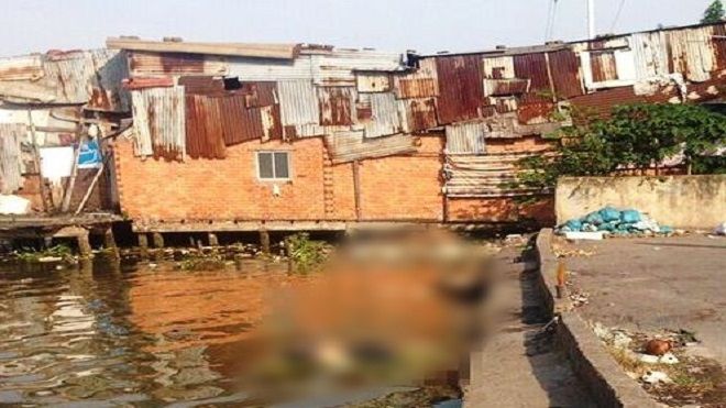 Hốt hoảng phát hiện thi thể người đàn ông đang phân hủy lẫn trong đám lục bình