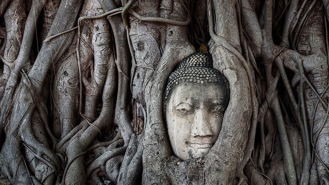 Du lịch Đông Nam Á, chớ dại làm những điều này!