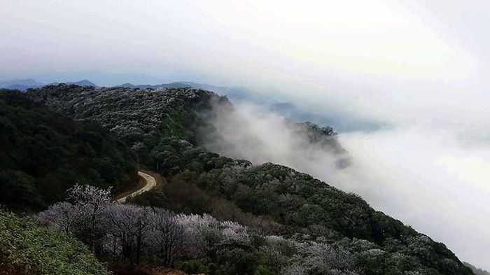 Hình ảnh băng tuyết phủ trắng đỉnh núi không phải khách du lịch nào cũng may mắn chứng kiến