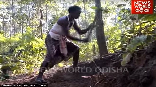 Người cha nghèo xẻ núi mở 8 km đường cho con đến trường: Câu chuyện cảm động về tình cha con