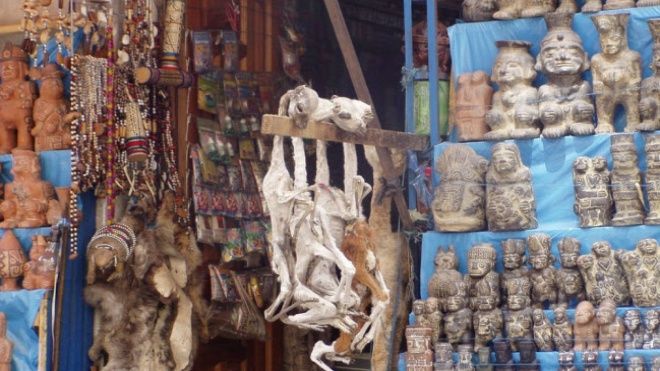 Lạc bước vào khu chợ của phù thủy - nơi bán đủ thứ kỳ lạ trên đời