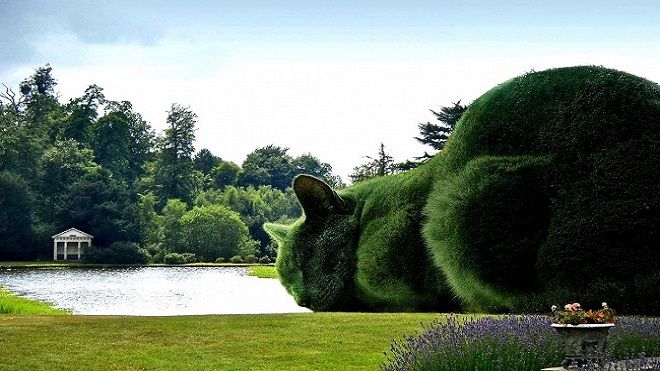 Chẳng cần photoshop, thiên nhiên cũng có thể tự tạo ra những 'siêu phẩm' như thế này