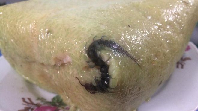 Nàng dâu Hải Phòng rùng mình khi thấy con rết trong chiếc bánh chưng