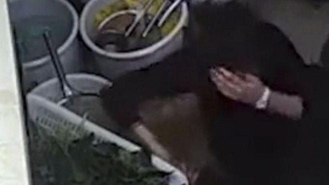 Phục vụ chậm, nữ chủ quán bị hai gã đàn ông đánh không thương tiếc