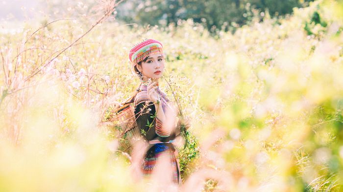 Bộ ảnh đẹp ngất ngây của 'cô gái Mèo' bên cánh đồng hoa tam giác mạch giữa lòng Sài Gòn