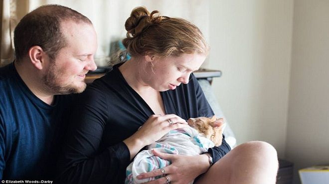 Cặp vợ chồng 'diễn sâu' trong bộ ảnh hạ sinh… mèo khiến dân mạng choáng váng