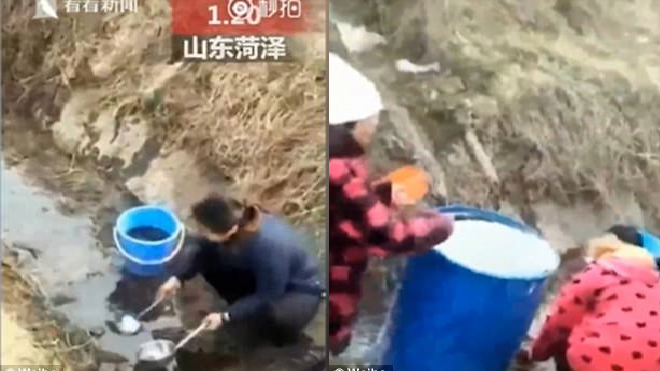 Xe tải lật, dân Trung Quốc thi nhau 'hôi' dầu ăn dưới mương về để… nấu ăn