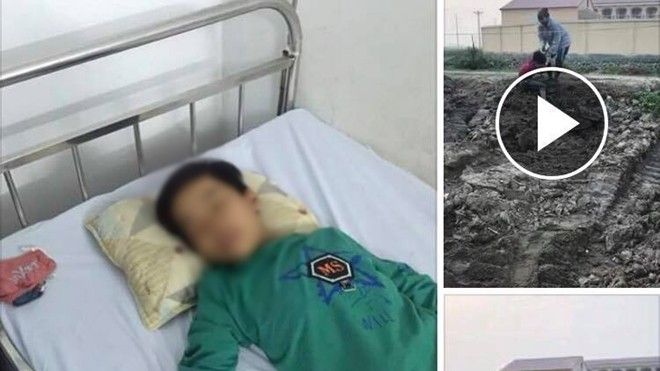 Bác bỏ thông tin bé trai 10 tuổi phải điều trị chấn thương sọ não vì bị đánh khi đi trộm ngô