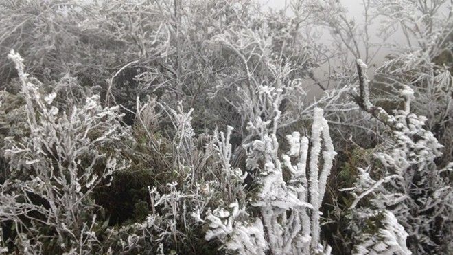 Cận cảnh băng giá phủ trắng đỉnh Mẫu Sơn trong tiết trời rét -1,4 độ C