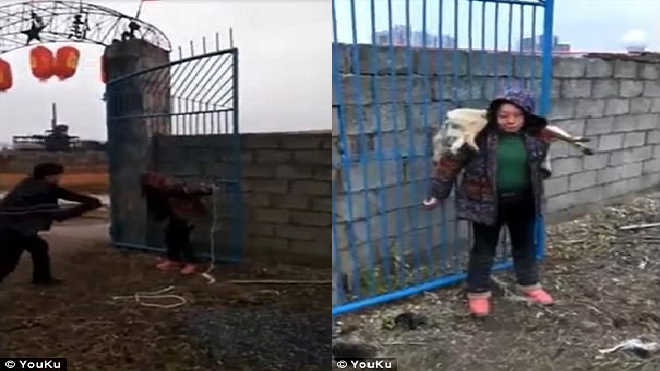 Ăn trộm chó của người dân, nữ 'cẩu tặc' nhận cái kết không thể đắng hơn