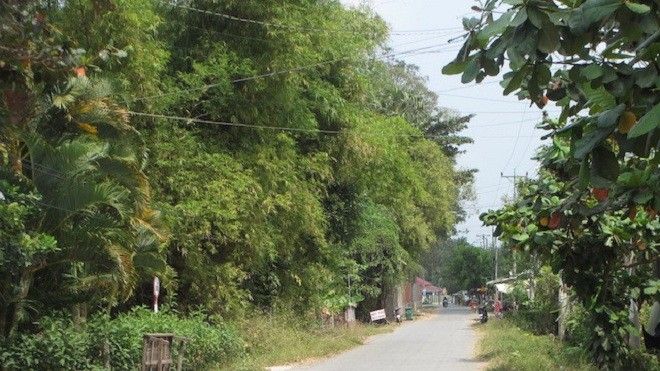 Bị đánh chết khi cự cãi với người say đi vệ sinh ven đường