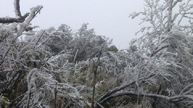 Miền Bắc hứng chịu đợt lạnh nhất năm, nhiều tỉnh thành rét dưới 5 độ C