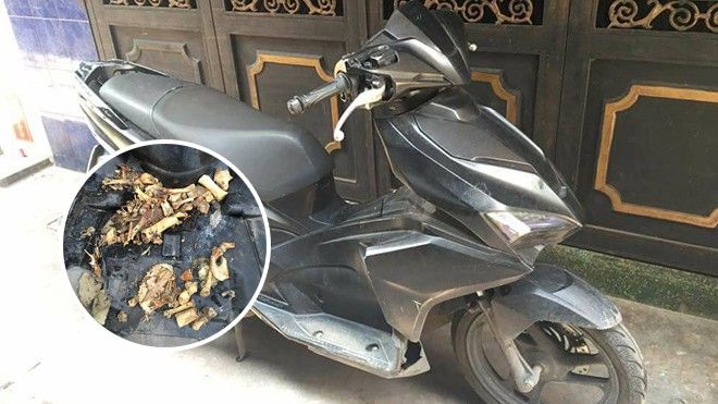 Cuối năm đi bảo dưỡng xe, phát khiếp thấy toàn xương lợn, mai cua