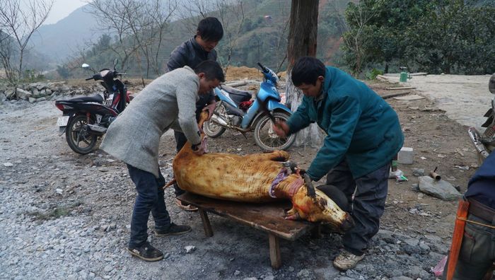 Người dân xót xa nhìn trâu chết rét, phải xẻ thịt mang bán dọc quốc lộ