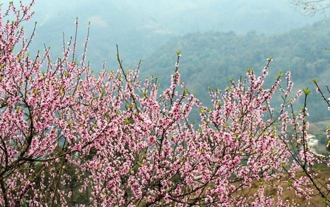 Dịp Tết Nguyên đán, không khí lạnh tràn về miền Bắc đúng vào ngày tất niên