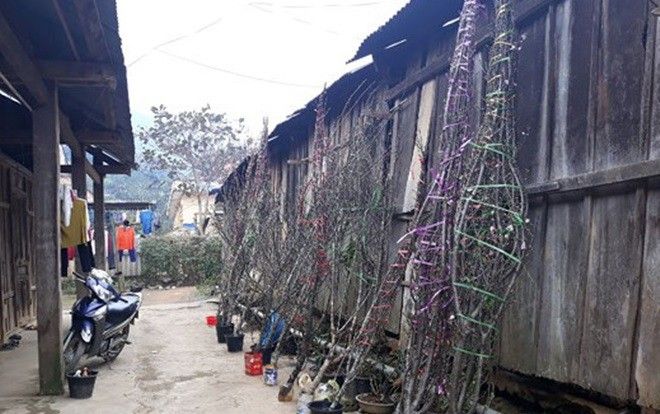1.001 kiểu thưởng Tết khiến người được nhận chỉ biết… cười ra nước mắt
