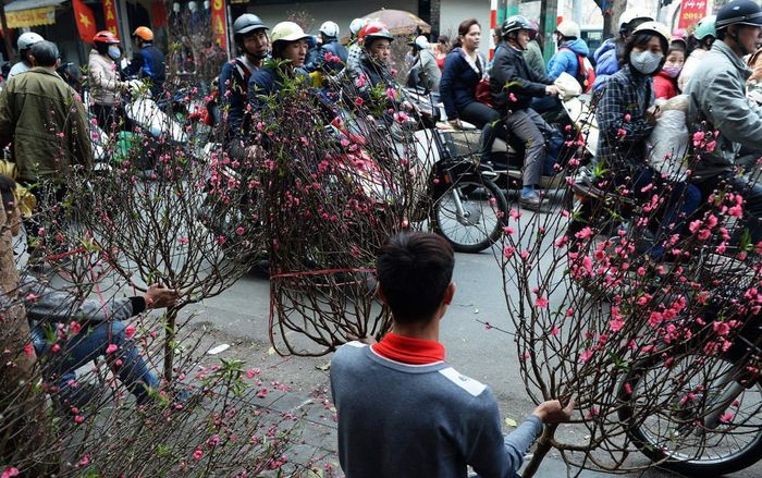 CNN chọn chợ hoa Quảng Bá, Hà Nội trong 14 điểm chơi Tết nổi bật