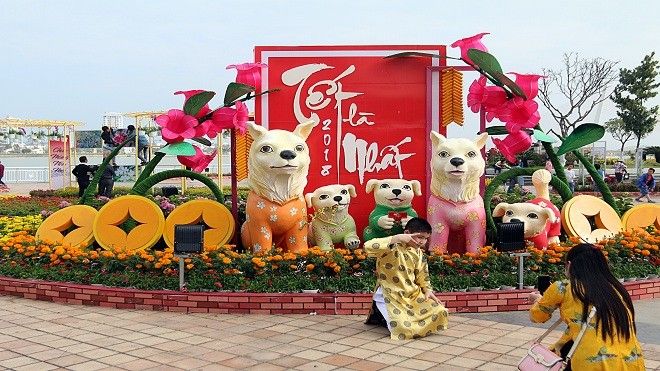 Người dân hào hứng đón Tết Mậu Tuất 2018 với đường hoa xuân rực rỡ bên sông Hàn