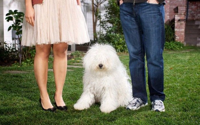 Năm Mậu Tuất, ngắm loạt chó cưng 'cute lạc lối' của những ông lớn công nghệ