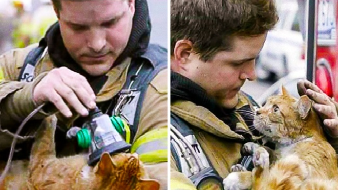 Nhìn những hình ảnh này bạn sẽ thấy 'yêu đời, yêu người' hơn bao giờ hết