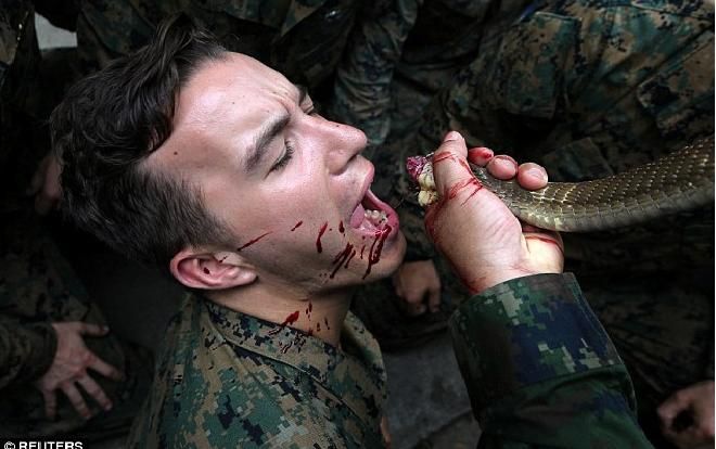 CLIP: Uống máu rắn, ăn tắc kè rèn kỹ năng sinh tồn