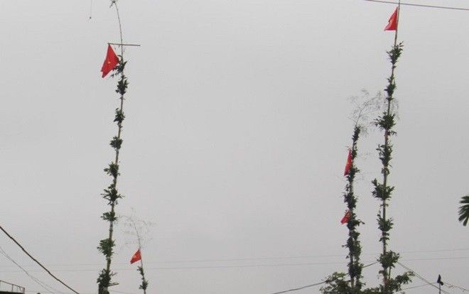 Hạ cây nêu, hai anh em ruột bị điện giật phải nhập viện cấp cứu