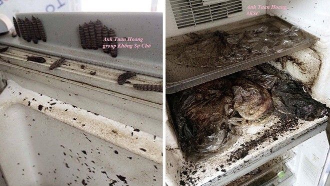 Tủ lạnh 'nhung nhúc giòi bọ' mới chính là 'đỉnh cao' của câu chuyện 'phòng trọ sinh viên sau Tết'