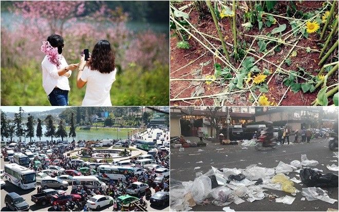 Kéo đến du lịch nhưng khi rời đi, du khách để lại phía sau một Đà Lạt bị phá hoại khiến nhiều người ngỡ ngàng