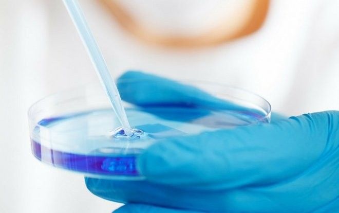 Hy hữu: Chồng bồi thường hơn 100 triệu cho vợ vì tự ý hủy lưu trữ phôi lạnh