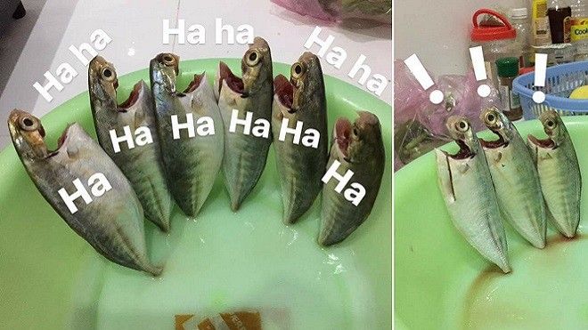 Bộ ảnh siêu nhạt nhẽo này đã chứng minh truyền thuyết 'cười không ngậm được mồm' là có thật