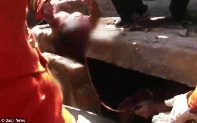 KHÓ TIN: Mẹ đẻ rơi con trong toilet mà không hay biết, vẫn tiếp tục khám thai bình thường