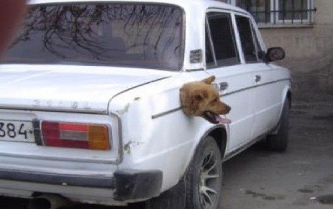 Có những bức hình nhìn là thấy 'điên đầu'