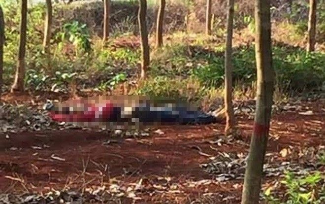 Đi vào rừng tìm mật ong, 2 cha con bị sát hại