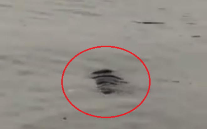 Phát hiện thi thể người đàn ông trung tuổi nổi dưới hồ Tây