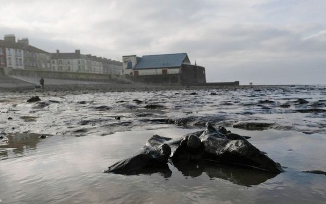 Trong cái rủi có cái may: Sau trận bão tuyết lịch sử, phát hiện khu rừng cổ 7.000 năm ở Anh