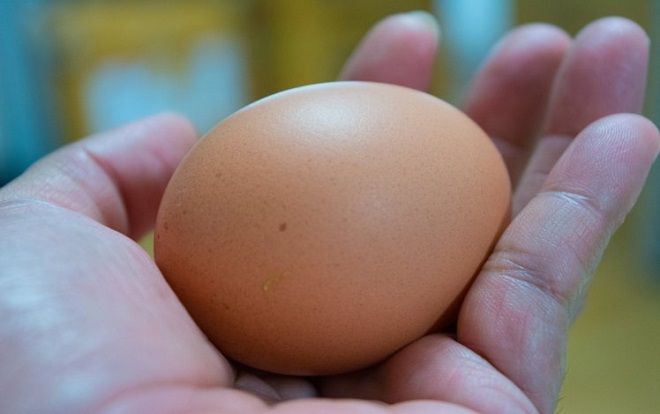 Ném trứng vào nhà hàng xóm 9 tháng liên tục, người đàn ông nhận kết 'đắng'