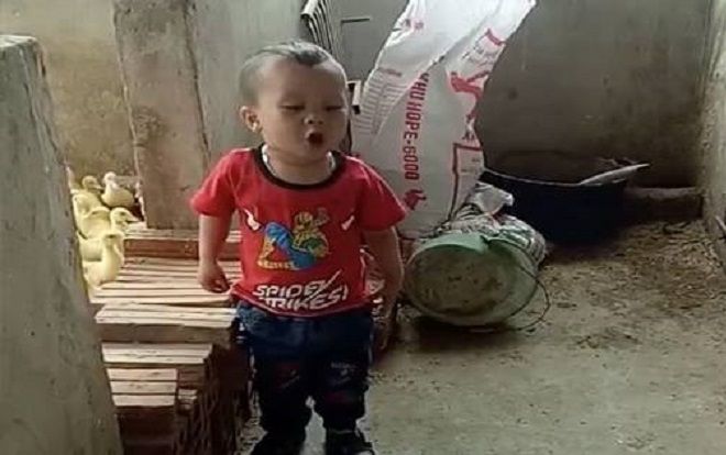 Clip: Bé trai 3 tuổi nói chưa sõi đứng mắng chó té tát khiến dân tình ôm bụng cười