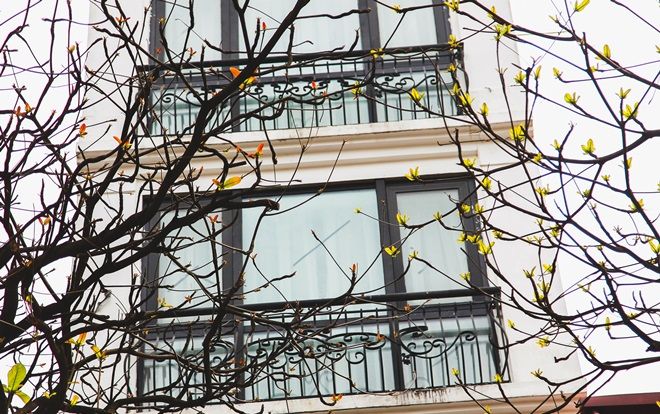 Cuối xuân rủ nhau đi ngắm những khoảng trời đầy lộc biếc đẹp như tranh, lòng nao nao tiếc nuối tuổi xanh qua vội vàng