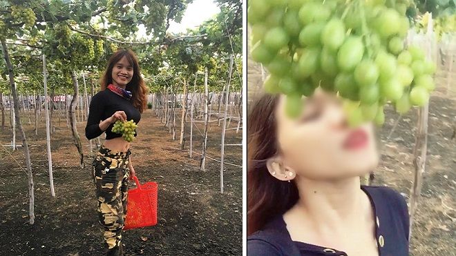 Nữ phượt thủ nhận 'gạch đá' vì ngửa cổ ăn nho tại vườn còn tố chủ vườn 'chặt chém'