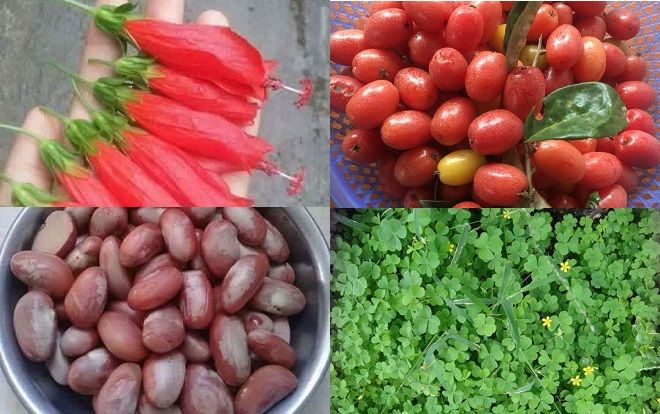 Trà sữa không là gì với những món ăn vặt dân dã ngon - bổ - rẻ ở thời kỳ huy hoàng của thế hệ 8X, 9X