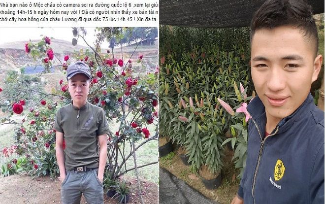 Bị chửi rủa là kẻ cắp cây hoa hồng cổ 10 năm chỉ vì đăng ảnh lên trang cá nhân, chàng trai lên tiếng kêu oan