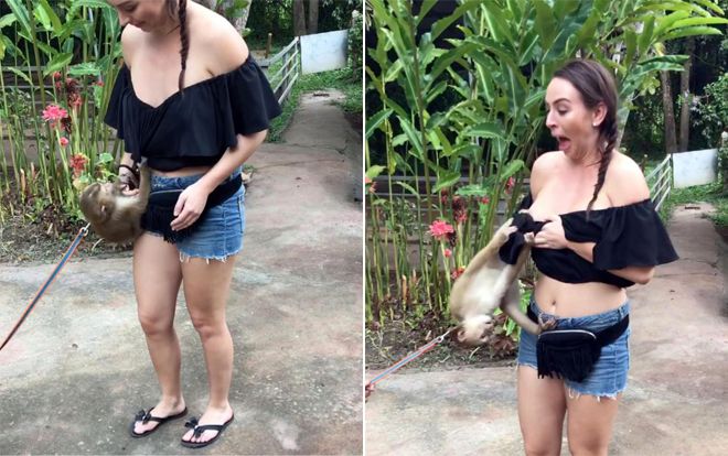 Ăn mặc trễ nải tới sở thú, cô gái trẻ bị khỉ kéo lộ ngực