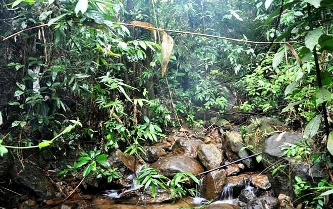 Hoảng hồn phát hiện thanh niên chết trong tư thế treo cổ bên bờ suối