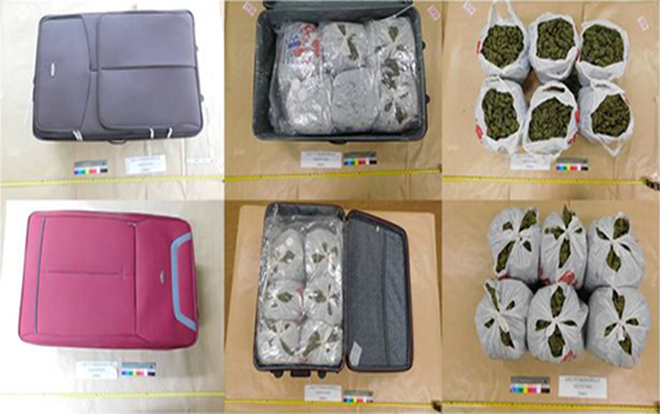 Nữ quái Việt cầm đầu băng đảng trồng cần sa ở Anh lĩnh án tù